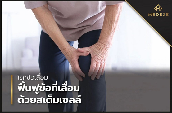 Slider image (2) Medeze Vietnam